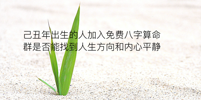 八字五行喜神游戏截图