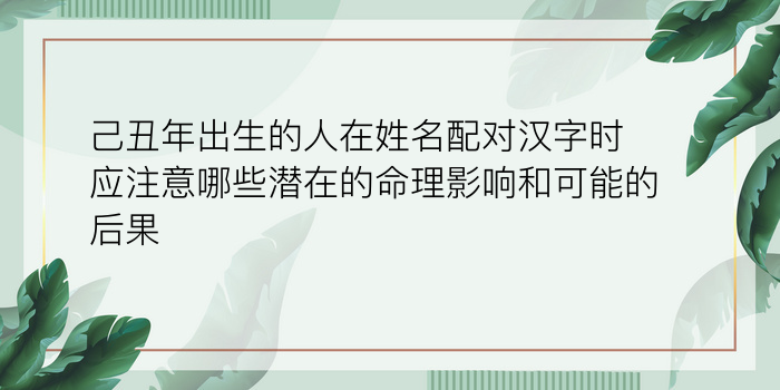 周易查车牌号吉凶查询游戏截图