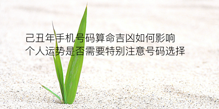 手机号与名字配对免费游戏截图