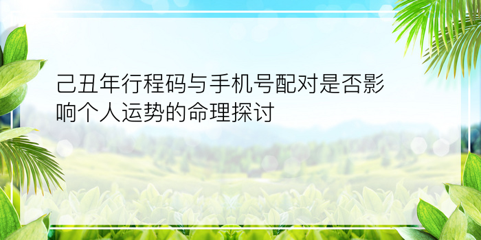 己丑年行程码与手机号配对是否影响个人运势的命理探讨