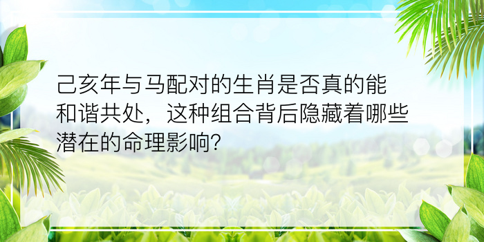 己亥年与马配对的生肖是否真的能和谐共处，这种组合背后隐藏着哪些潜在的命理影响？