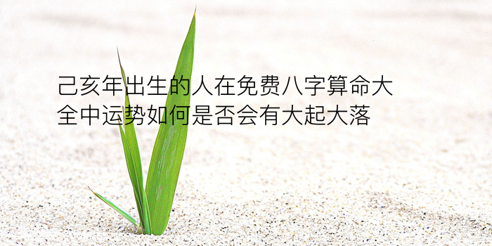 最准免费八字算命游戏截图