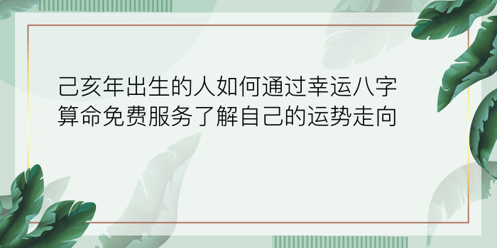 己亥年出生的人如何通过幸运八字算命免费服务了解自己的运势走向