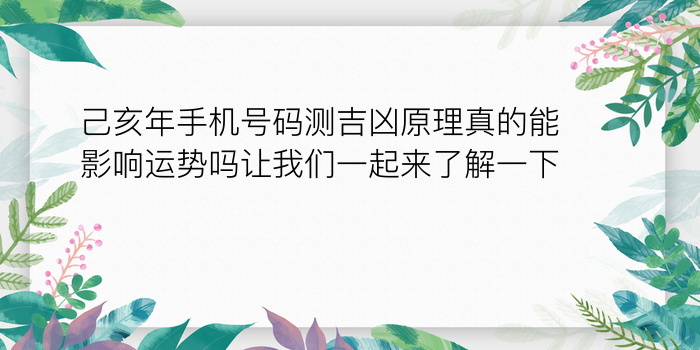 己亥年手机号码测吉凶原理真的能影响运势吗让我们一起来了解一下