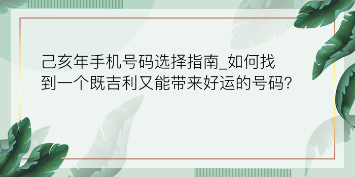 生日配对佛滔游戏截图