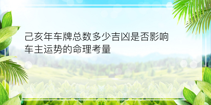 己亥年车牌总数多少吉凶是否影响车主运势的命理考量