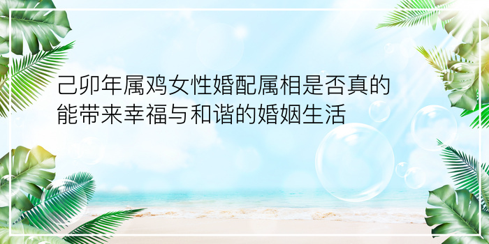 生日配对游戏截图