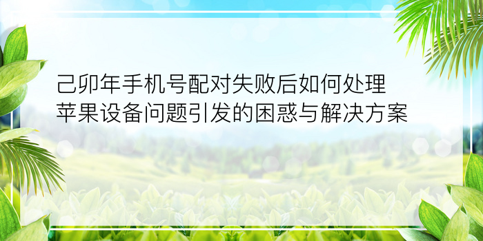 己卯年手机号配对失败后如何处理苹果设备问题引发的困惑与解决方案