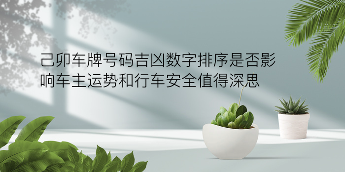 属相星座配对查询游戏截图