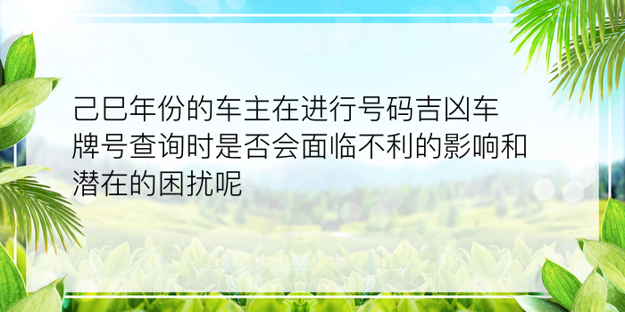 己巳年份的车主在进行号码吉凶车牌号查询时是否会面临不利的影响和潜在的困扰呢