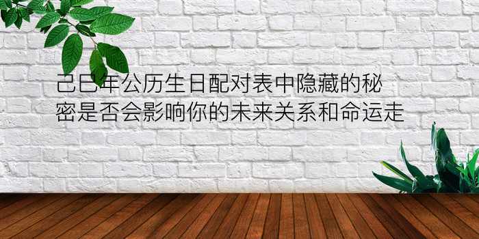 己巳年公历生日配对表中隐藏的秘密是否会影响你的未来关系和命运走向