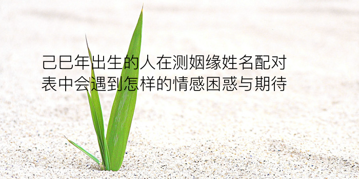 soul怎么生日配对游戏截图