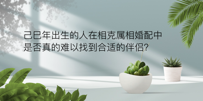 己巳年出生的人在相克属相婚配中是否真的难以找到合适的伴侣？