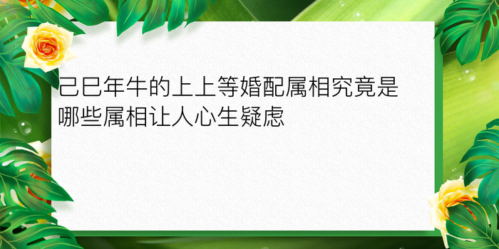 己巳年牛的上上等婚配属相究竟是哪些属相让人心生疑虑