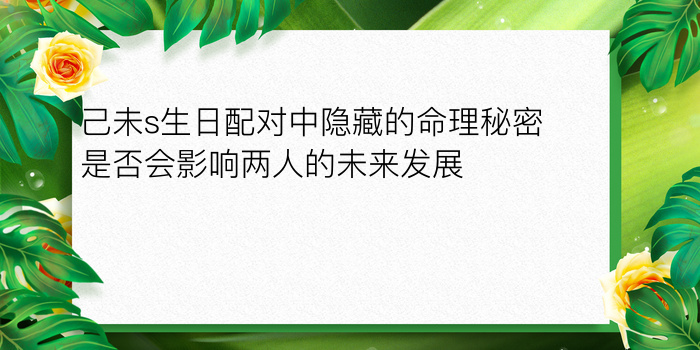 己未s生日配对中隐藏的命理秘密是否会影响两人的未来发展