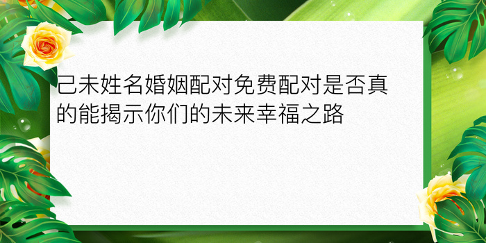 姓名配对测试感情游戏截图