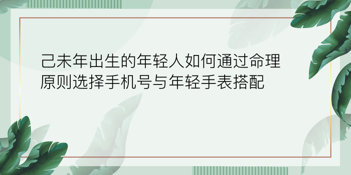 己未年出生的年轻人如何通过命理原则选择手机号与年轻手表搭配