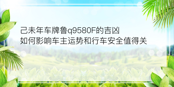 己未年车牌鲁q9580F的吉凶如何影响车主运势和行车安全值得关注