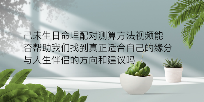 十二生肖配对最旺财游戏截图