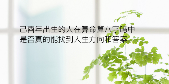 生辰八字算命网游戏截图