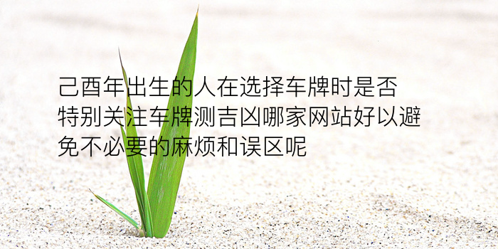 生肖配对马游戏截图