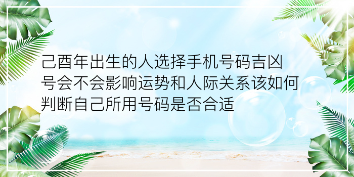 手机号生日配对测试打分游戏截图