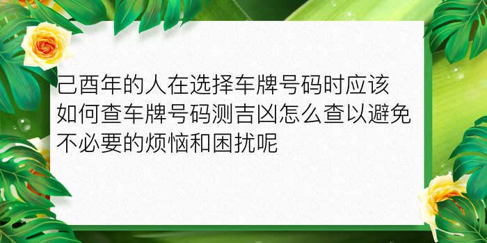 车牌号码测吉凶最准的游戏截图