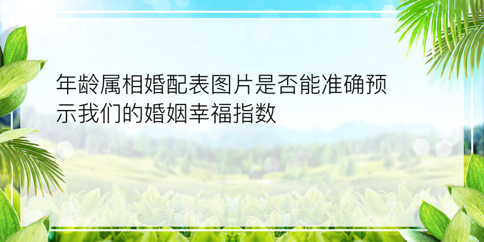 年龄属相婚配表图片是否能准确预示我们的婚姻幸福指数