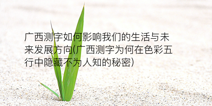 易经免费算命游戏截图