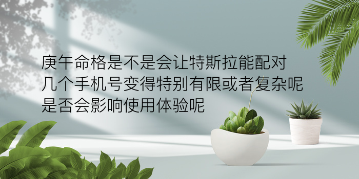 汽车牌照吉凶游戏截图