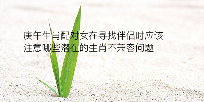 生日数配对游戏截图