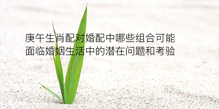 生肖配对大师版下载游戏截图