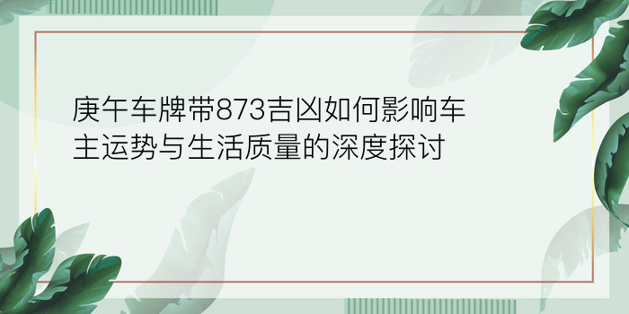 庚午车牌带873吉凶如何影响车主运势与生活质量的深度探讨