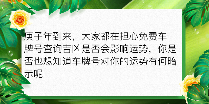 周易测车牌号码吉凶游戏截图