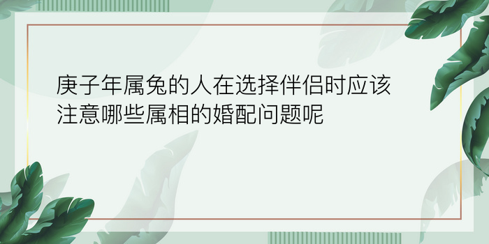 三藏算命姓名配对游戏截图