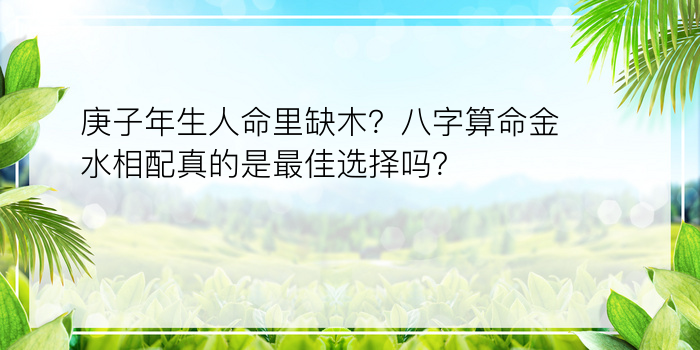 庚子年生人命里缺木？八字算命金水相配真的是最佳选择吗？