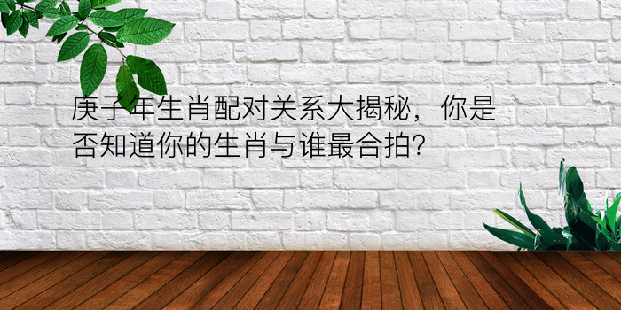 庚子年生肖配对关系大揭秘，你是否知道你的生肖与谁最合拍？