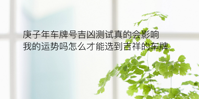 算车牌号吉凶查询游戏截图