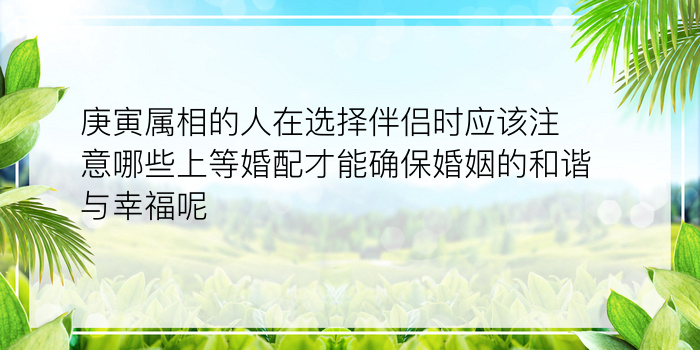 庚寅属相的人在选择伴侣时应该注意哪些上等婚配才能确保婚姻的和谐与幸福呢