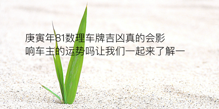 生日配对表游戏截图