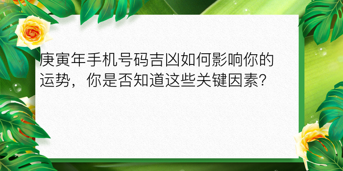 庚寅年手机号码吉凶如何影响你的运势，你是否知道这些关键因素？