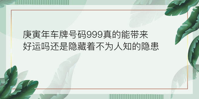 庚寅年车牌号码999真的能带来好运吗还是隐藏着不为人知的隐患