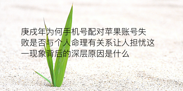 车牌吉祥号码吉凶测试游戏截图