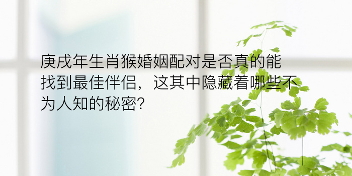 庚戌年生肖猴婚姻配对是否真的能找到最佳伴侣，这其中隐藏着哪些不为人知的秘密？