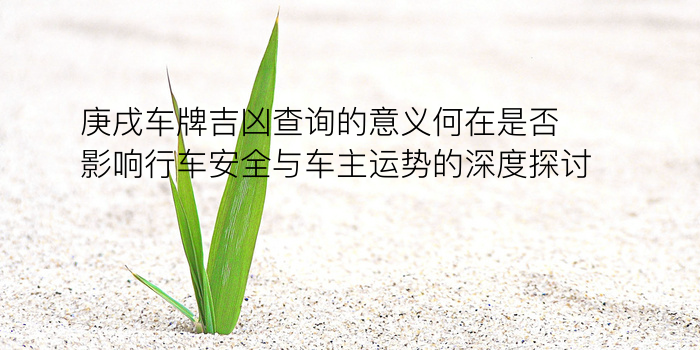 生日缘分配对象游戏截图