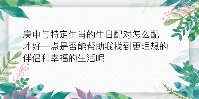 二零二算运网