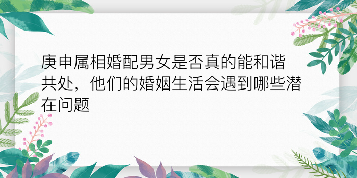 庚申属相婚配男女是否真的能和谐共处，他们的婚姻生活会遇到哪些潜在问题