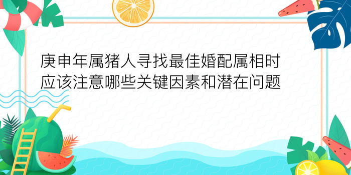 庚申年属猪人寻找最佳婚配属相时应该注意哪些关键因素和潜在问题