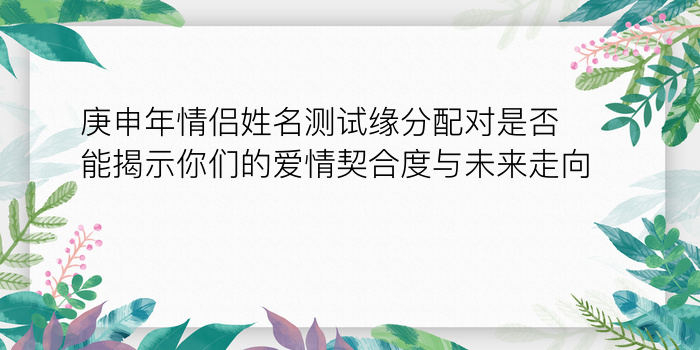 手机号爱情配对查询游戏截图