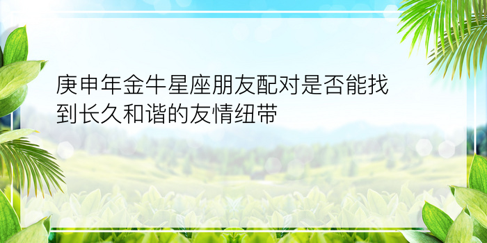 庚申年金牛星座朋友配对是否能找到长久和谐的友情纽带